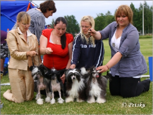 kennel_Zorrazo_3
