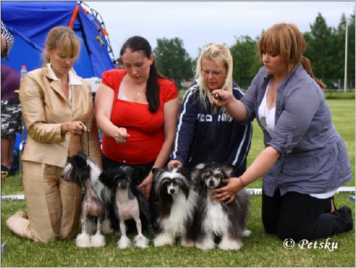 kennel_Zorrazo_4